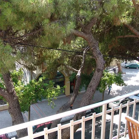 Camelia Otel *