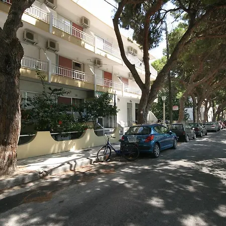 Camelia * İstanköy