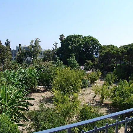 Camelia İstanköy